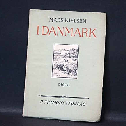 Mads Nielsen, I Danmark,